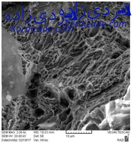 ترک پره توربین گازی