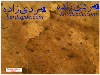 ترک پره توربین گازی